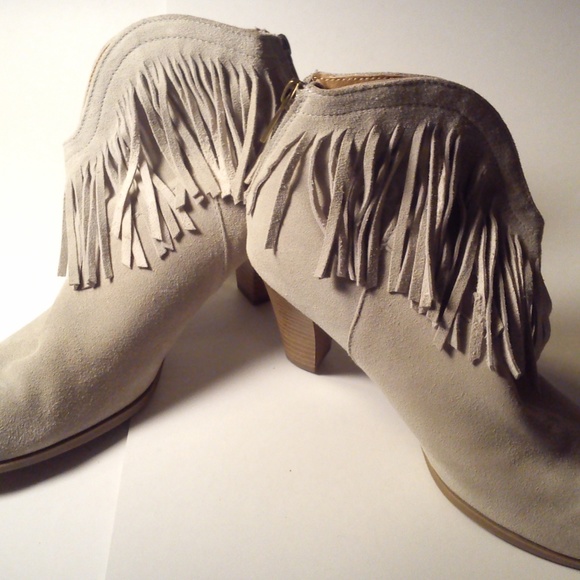 Falabella Americanino - Picture 5 of 8